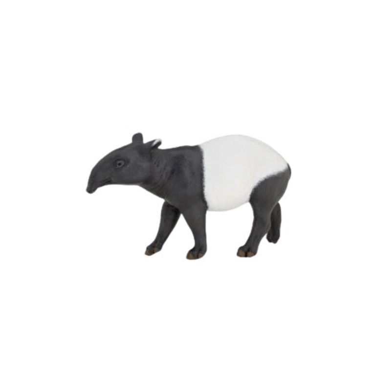 PAPO TAPIR