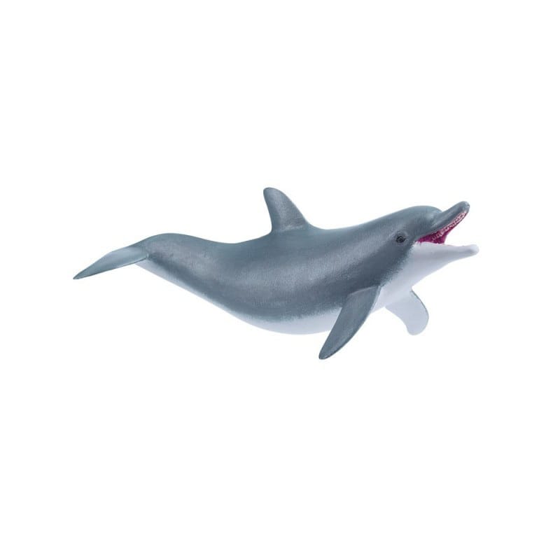 PAPO DELFIN JUGANDO