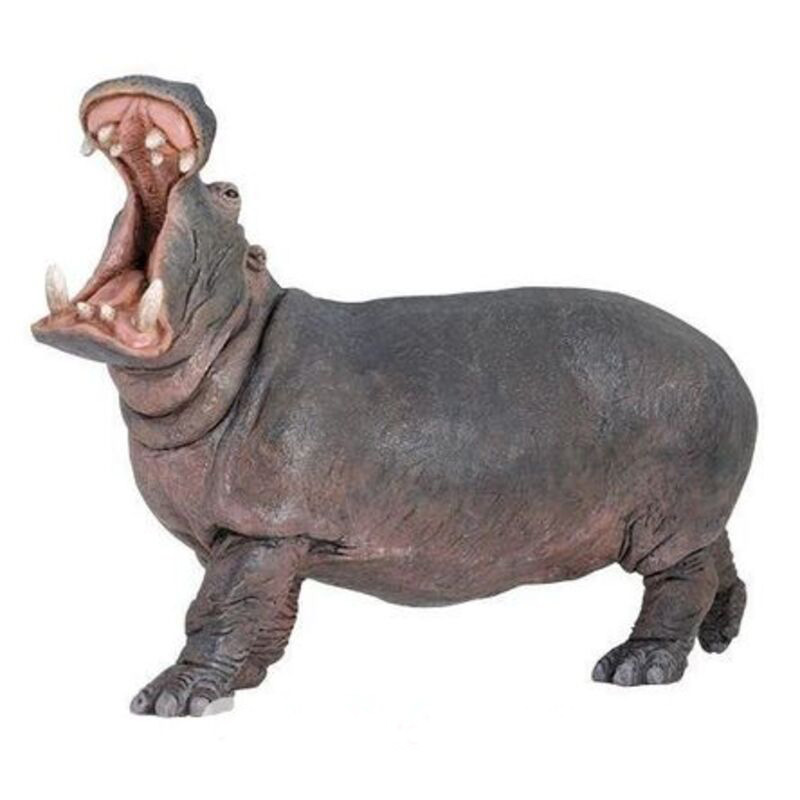 PAPO HIPOPOTAMO